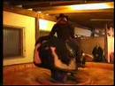 Bullriding Bullriding