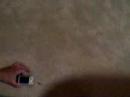 Little Timmy beginning to crawl