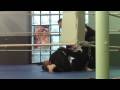 videos de Little Warrior