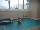 Hurricane Wilma