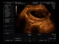 BENJAMIN ALEJANDRO FARIAS ESCANILLA