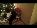 VID00165.AVI