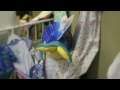 1st Way Pregnancy - Life Steps RC02