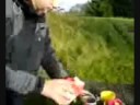 mad af natur råvare 2 mad af natur råvare 2