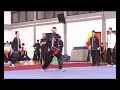 Lily Lau Shaolin Eagle Claw Kung Fu