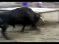 Toro Cerril de German Gervas - Villafames 2008