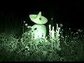 UFO OVER MEXICO