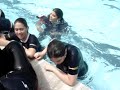 Pulo-piscina-Damas-2