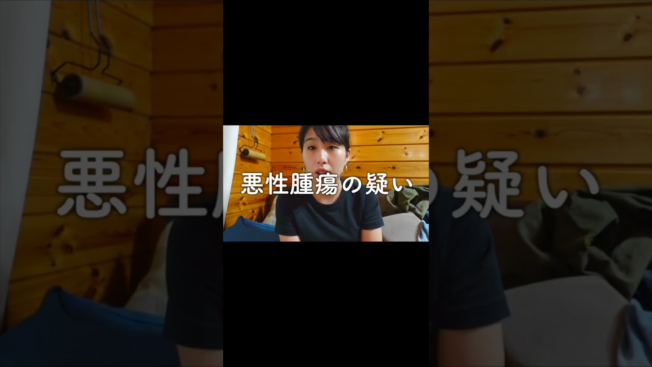 動画1