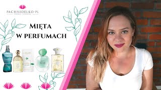 Mięta w perfumach! || Pachnidelko.pl
