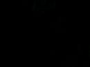 smacs-patrick-kong-flex-club-.html