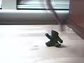 Amateur Claymation