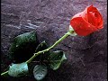 Smooth Jazz - Sensual saxo and relaxing piano music