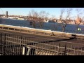 I uploaded a YouTube video -- Dog Walk 021711.mov http://youtu.be/tP095SUYOwg?a