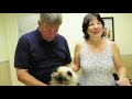 Dr. Bellows' Dental Tips: A Cat Dental Illness Called Stomatitis