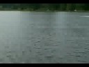 Pro Boat Shockwave 26 (Modified to Blackjack 26 Brushless)