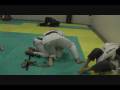 Luiz Tannuri vs Luiz Fernando.wmv