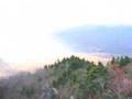On the hanging bridge on Gradfather Mountain at Ashville