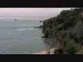 clip video John Wesley Harding Negative Love