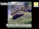 Choque Cincuentenario UCAB[OFICIAL]