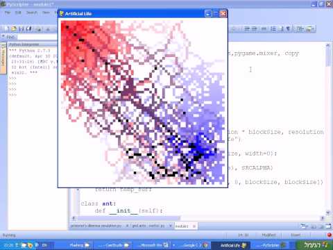 how to locate python path