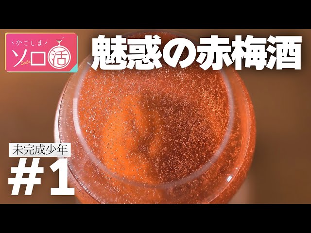 オリジナル赤梅酒＆ピリ辛砂肝炒め 「未完成少年」かごしまソロ活 #1 