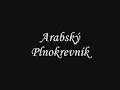 Arabsky plnokrevnik