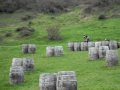 PAINTBALL ITURGUTXI 2009-11-21 (Barriles) Galarreta 60 (Pais Vasco-Euskadi-Araba-Vitoria-Gasteiz)