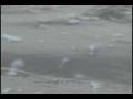 videos de Retorno