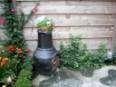 onze tuin met de papegaaien ha,ha,