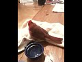 Bird (Cardinal) I found living in my Jeep