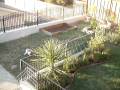 videos de Chayse Backyard Sprint 2