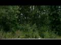 videos de beziers skate seb abes et tex games of skate