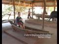 Thainess, Suphan Buri, Thailand
