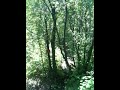 video2.mov Video