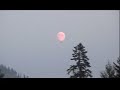 looking for the moon - tom paxton

thomas richard paxton (born october 31, 1937) is a well-known american folk singer and singer-songwriter who has been writing, performing and recording music for over forty years.

his songs have experienced enduring appeal, including modern standards such as 