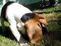 videos de Edgardito bebe 1