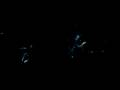 videos de Papa Roach Forever Summerfest