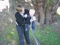 See Saw