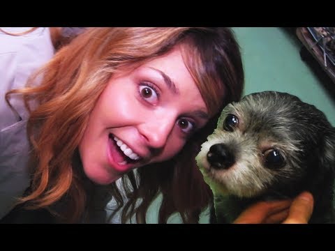 PUPPIES, KITTENS, JB & DAILYGRACE : NMS Ep#35