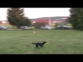 Tanja und Fina - Minidistance Tanja und Fina - Minidistance