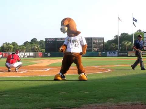 Charleston riverdogs - Charlie T. RiverDog of the Charleston RiverDogs gives a tribute to the King of Pop for his intro on July 3, 2009. Songs are (in order): Beat It, Bad, Thrille...