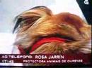 os palleiros na tvga