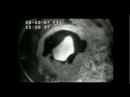 bai yun birth video