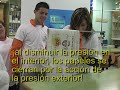 Efecto Venturi. Fundamento Físico Efecto Venturi. Fundamento Físico