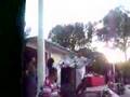 Vuelo de palomas video