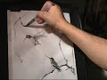 How to Draw Hummingbird - bid on eBay NOW