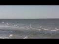 Edisto 2007 Vacation - Version 2