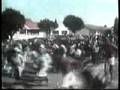 Camélia Avenida - A Execução de Solomon