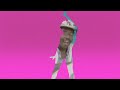 Lightspeed Champion - Madame Van Damme (2010)